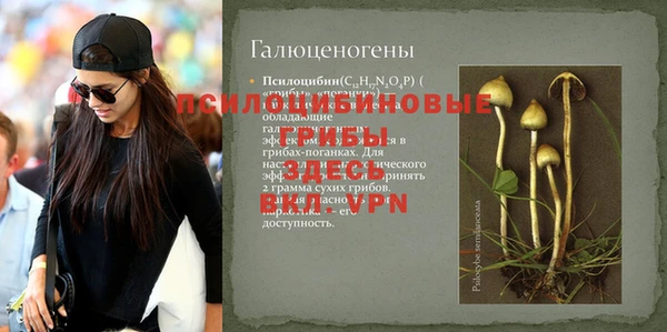 дмт Арсеньев